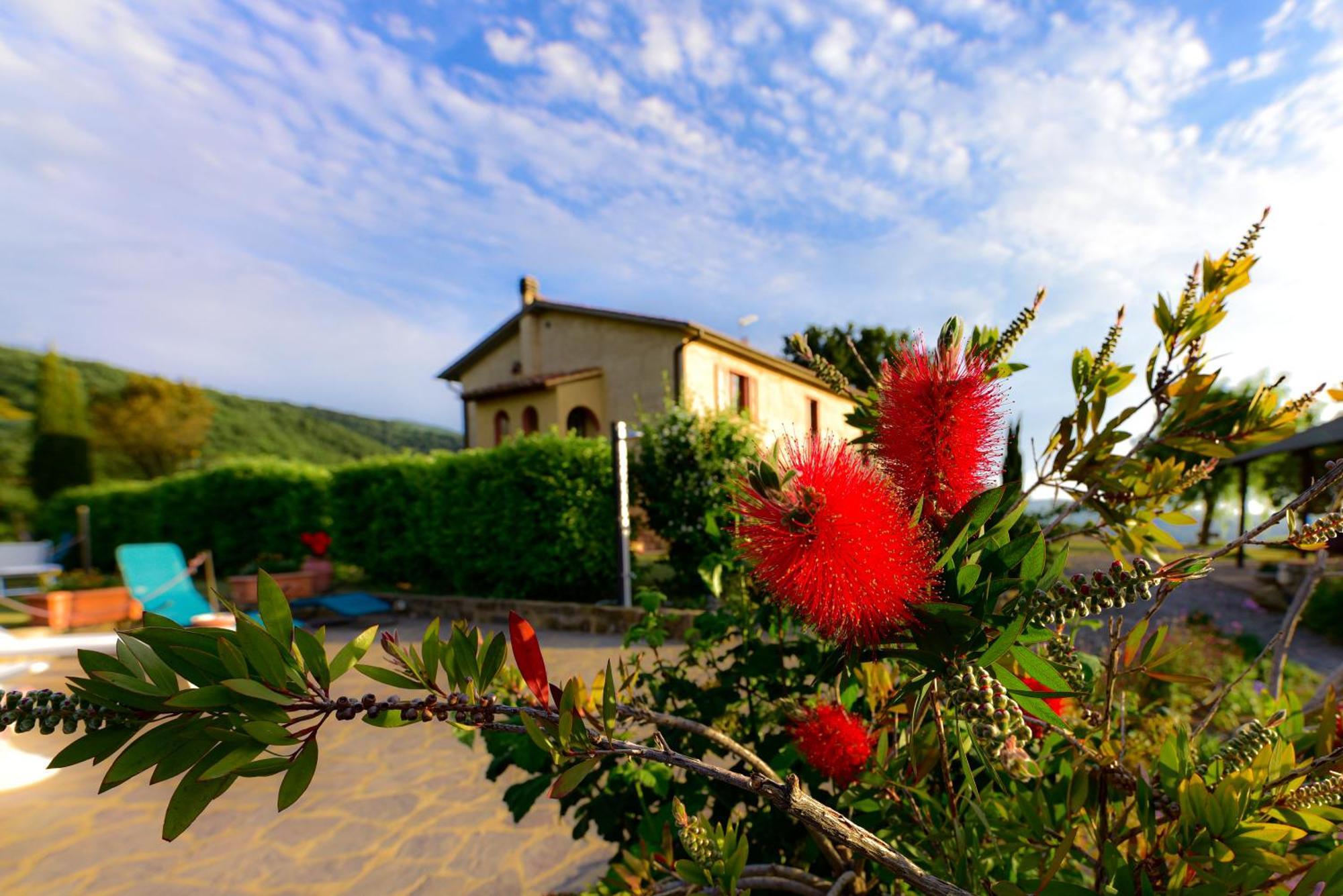 Agriturismo Le Casaline Seggiano Eksteriør bilde