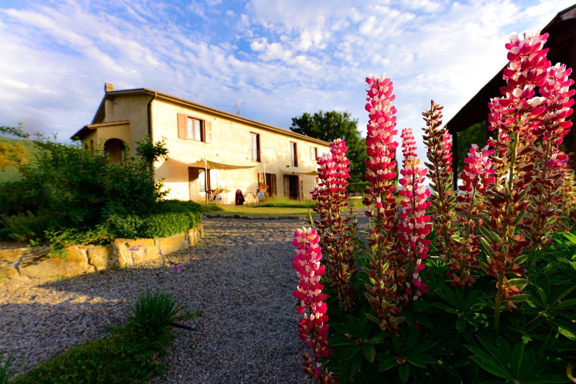 Agriturismo Le Casaline Seggiano Eksteriør bilde