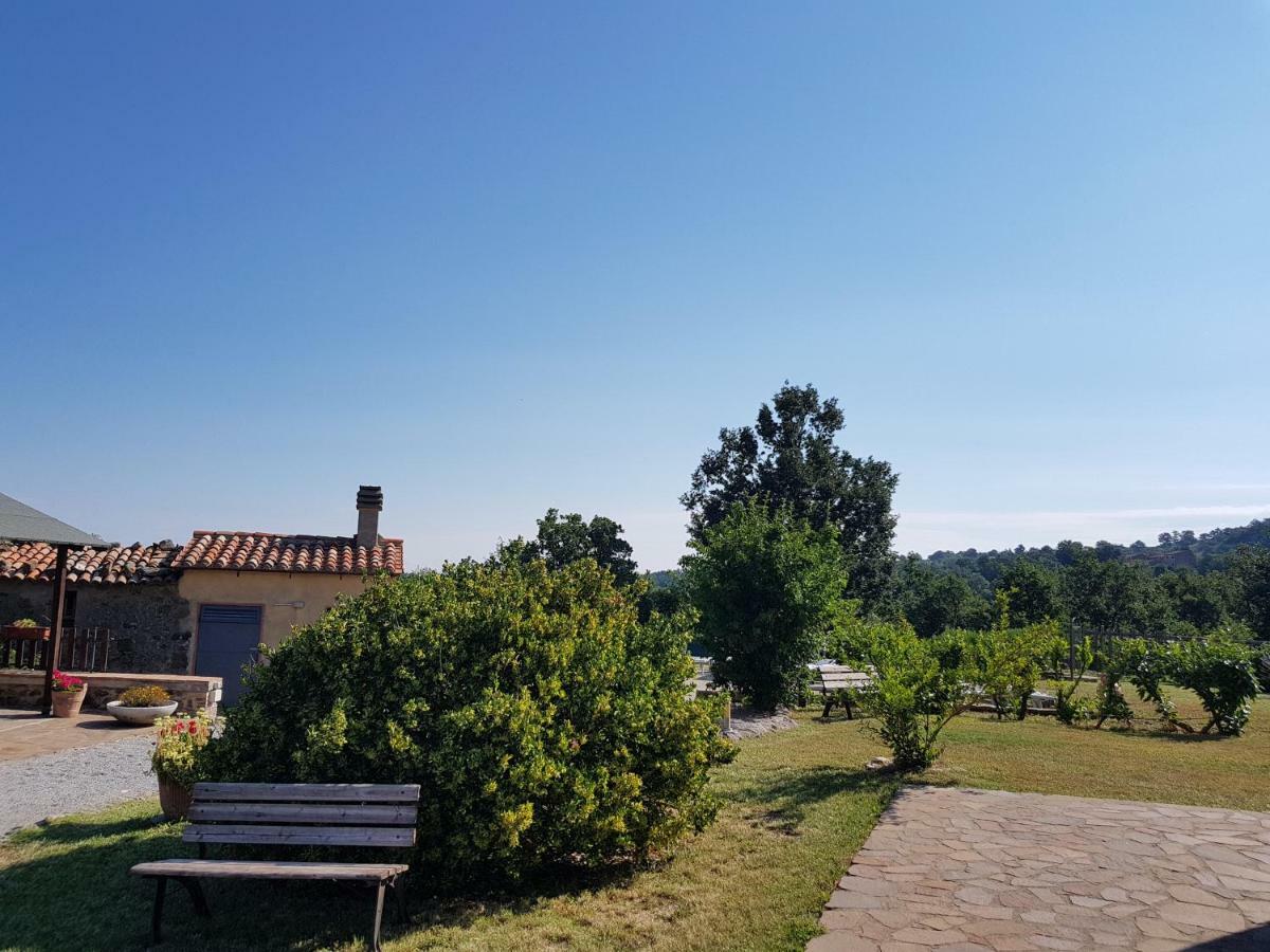 Agriturismo Le Casaline Seggiano Eksteriør bilde